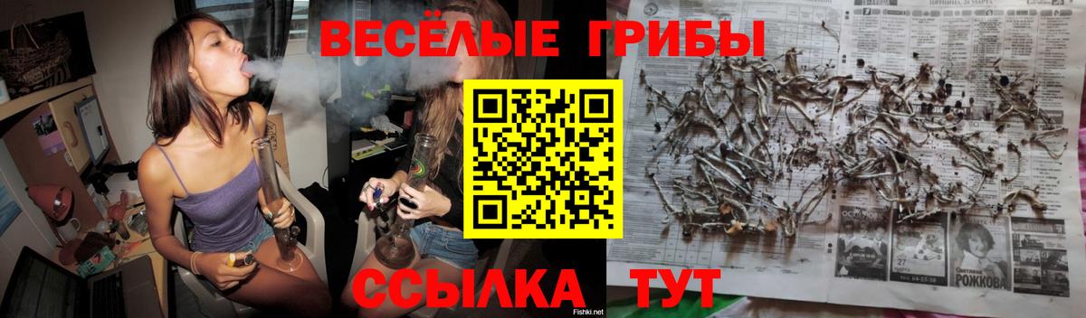 где купить наркоту  Псилоцибиновые грибы Magic Shrooms  Вход с VPN  Искитим 